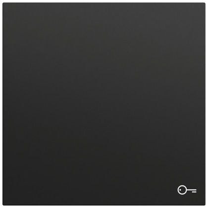 Gira 328774 Wippe mit Symbol Tür, System 70, schwarz matt (lackiert)