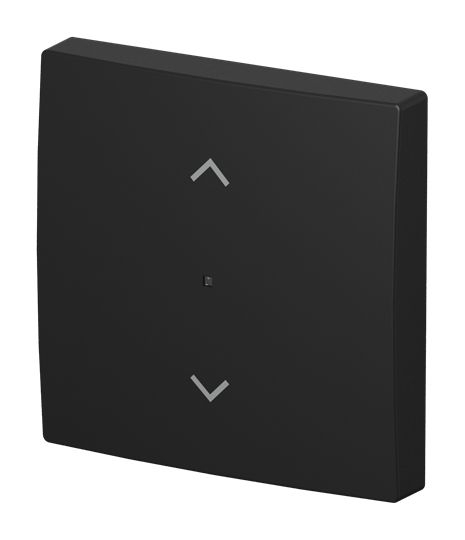 Busch-Jaeger 6232-10-915 Wippe 1-fach mit Symbol "Jalousie", Busch-free@home, Busch-balance SI, schwarz matt