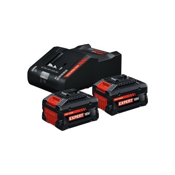Bosch 1600A0373T Akku-Starter-Set 2x Akku 18 V/8,0 Ah und Ladegerät EXAL 18 V-160