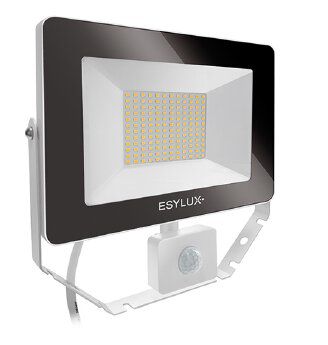 ESYLUX EL10810886 LED-Strahler 50W IP65, weiß