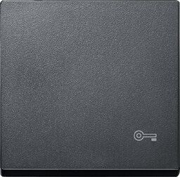 Merten MEG3303-0414 Wippe für Kennzeichnung Schlüssel, System M, anthrazit