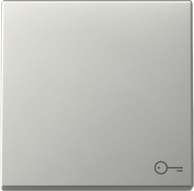 Gira 3287600 Wippe Symbol "Tür", System 55, Edelstahl
