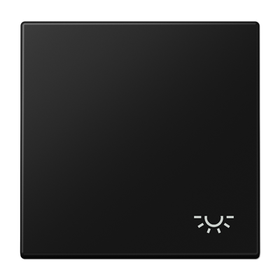 Jung LS990LSWM Wippe, Symbol Licht, Duroplast lackiert, Serie LS, graphitschwarz matt