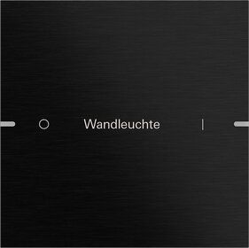 Gira 5031126 Wippenset 1-fach individuell für Tastsensor 4.95, Aluminium schwarz (eloxiert)