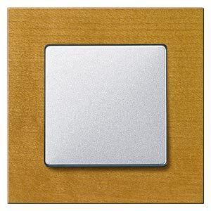 Siemens 5TG1101-1 Echtholzrahmen 1-fach