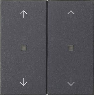 Gira 538628 Wippe 2-fach Pfeile Kontrollfenster, System 55, anthrazit