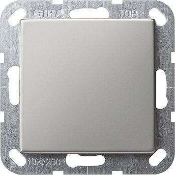 Gira 0268600 Blindabdeckung mit Tragring, System 55, Edelstahl