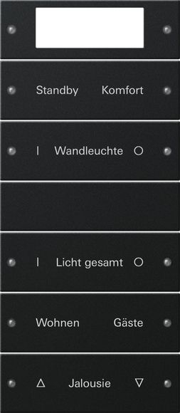 Gira 2215005 Wippenset 5-fach Plus (2+3) beschreibbar, System 55, Schwarz matt (lackiert)