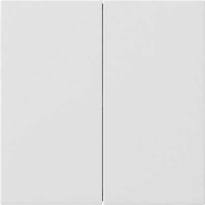Gira 5370112 Wippe 2-fach unbedruckt, Flächenschalter, reinweiß
