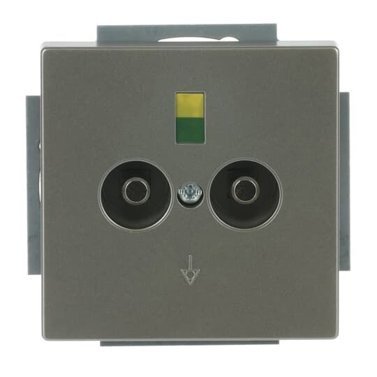 Busch-Jaeger 2095 UC-866 Potenzialausgleich-Steckdosen-Einsatz 2-fach, Unterputz, edelstahl matt, pur Edelstahl