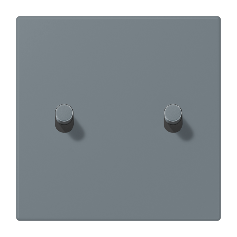 Jung LC12-5R0251 Abdeckung mit Kipphebel "Zylinder", 2 Kipphebel, gris 59