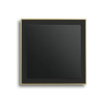Busch-Jaeger Busch-art linear Schwarz matt mit Dekorring gold