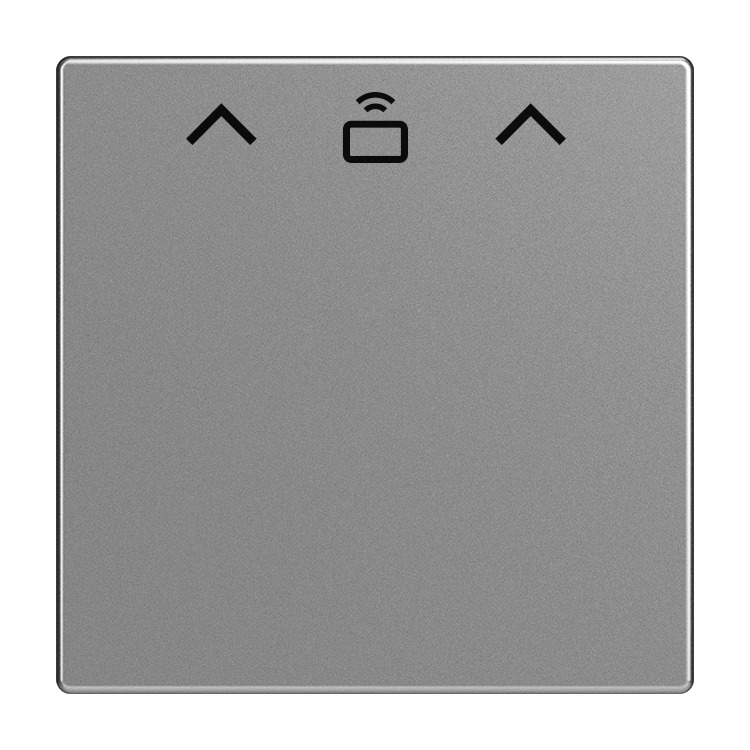 Busch-Jaeger 1792 RFID-866 Zentralscheibe Cardschalter RFID, edelstahl matt