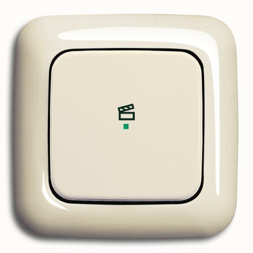Busch-Jaeger 6233-10-212 Wippe 1-fach mit Symbol Szene