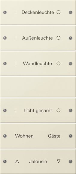 Gira 220601 Wippenset 6-fach (3+3) beschreibbar System 55 Cremeweiß lackiert