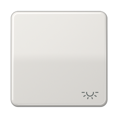 Jung CD590LLG Wippe, Symbol Licht, Duroplast, Serie CD, lichtgrau