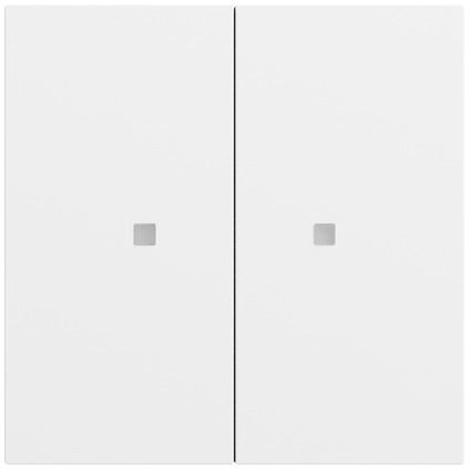 Gira 517372 Taster mit Wippe 2-fach für Gira One und KNX, System 70, reinweiß seidenmatt (lackiert)