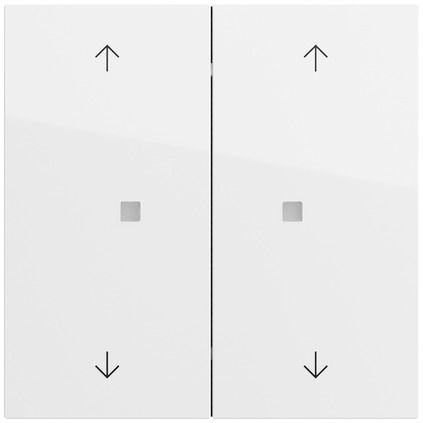 Gira 517470 Taster mit Wippe 2-fach Pfeilsymbole für Gira One und KNX, System 70, reinweiß glänzend