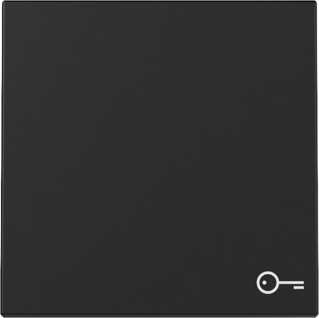 Gira 3287005 Wippe Symbol "Tür", System 55, schwarz matt