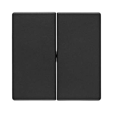 Berker 85142126 Taste für Schalter/Dimmer 2-fach, Q.x, anthrazit samt