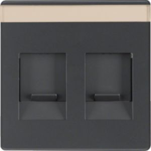 Berker MAN0206823 Zentralstück 2-fach mit Staubschutzschieber und Bschriftungsfeld, Q.x, tiefschwarz matt