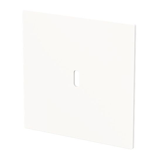 Busch-Jaeger 6479-44G Zentralscheibe für USB Ladestation 1-fach mit USB-C-Anschluss, Busch-art linear, studioweiß glänzend