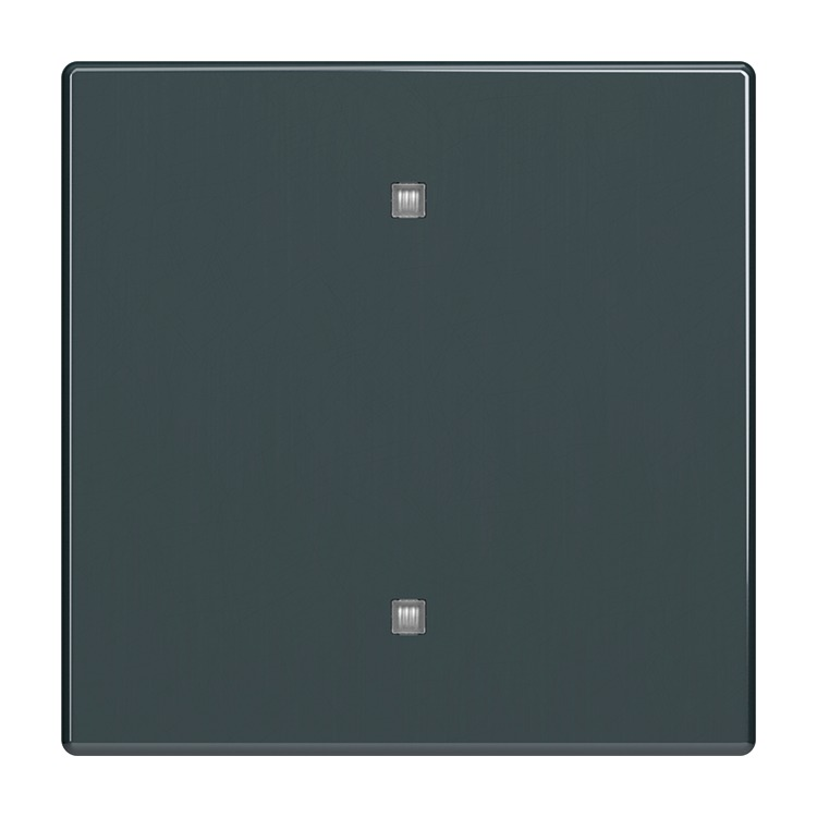 Busch-Jaeger 2570-10-81 Wippe 1-fach für Elektroniktaster mit transparenten Kalotte, anthrazit glänzend