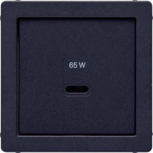 Berker 48606086 Zentralstück für USB Ladesteckdose Typ C, Q.x, anthrazit samt lackiert