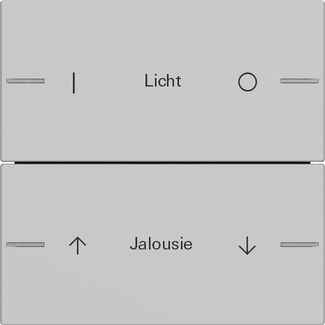 Gira 5762015 Wippenset 2-fach individuell Tastsensor 4.55, Grau matt