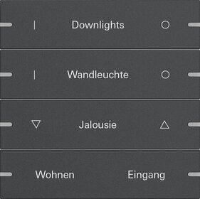 Gira 5034928 Wippenset 4-fach individuell für Tastsensor 4.95, Aluminium Anthrazit (lackiert)
