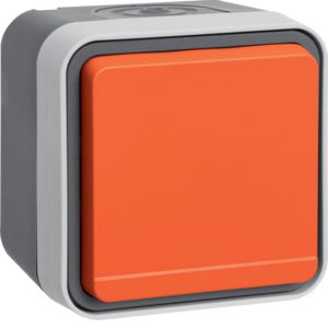 Berker 47403527 Schutzkontakt-Steckdose mit orangenem Klappdeckel, Aufputz W.1, grau
