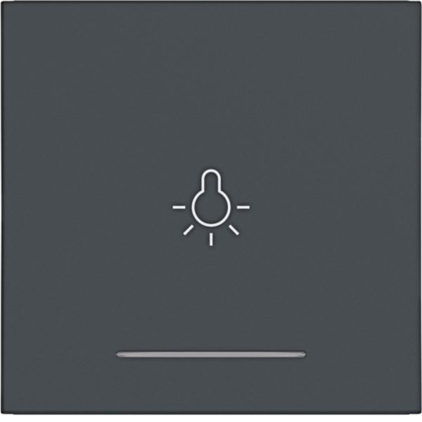 Hager WAW1032AT Wippe 1-fach mit Aufdruck Symbol Licht, klare Linse, A.x/C.x, anthrazit matt