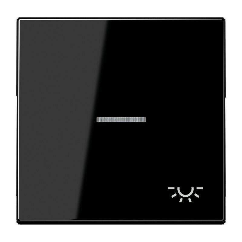 Jung LS990KO5LSW Wippe mit Lichtleiter, Symbol Licht, Duroplast, Serie LS, schwarz