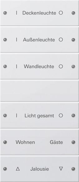 Gira 220627 Wippenset 6-fach (3+3) beschreibbar System 55 Reinweiß seidenmatt lackiert