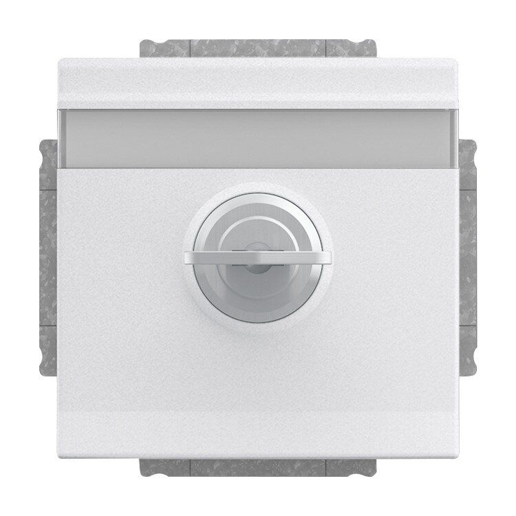 Busch-Jaeger 20 EUKNBSL-83-101 Schutzkontakt-Steckdose mit Klappdeckel und Schloss, gleichschließend, mit erhöhtem Berührungsschutz, mit Befestigungskrallen, aluminium silber matt, Plattform 63