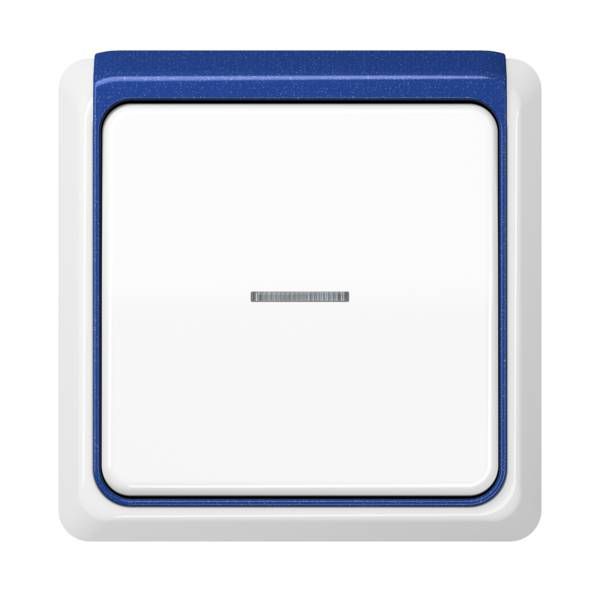 Jung CDP82BLM Applikations-Segment, CD PLUS, blau-metallic (magic)