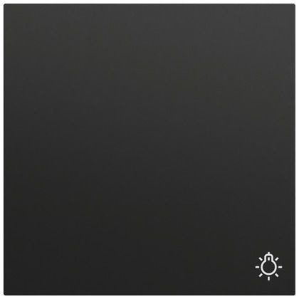 Gira 328574 Wippe mit Symbol Licht, System 70, schwarz matt (lackiert)