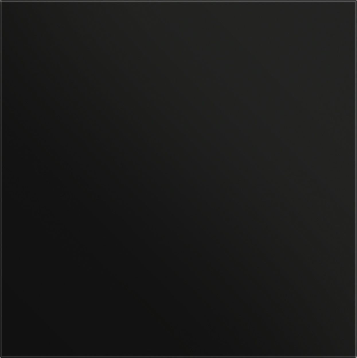 Gira 5554925 Frontplatte Info-/Blindmodul, System 106, Schwarz matt