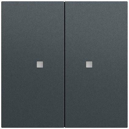 Gira 536973 Wippe 2-fach unbedruckt mit Kontrollfenster, System 70, anthrazit (lackiert)