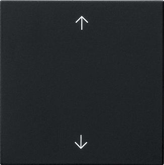 Gira 5389005 Wippe 1-fach Pfeile, System 55, schwarz matt