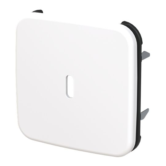Busch-Jaeger 6479-214 Zentralscheibe für USB Ladestation 1-fach mit USB-C-Anschluss, Reflex SI, alpinweiß glänzend