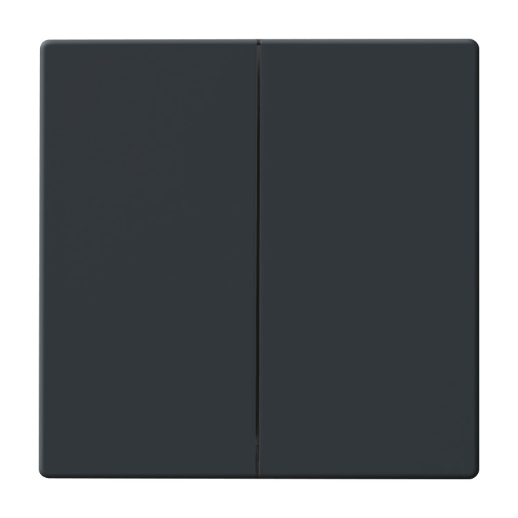Busch-Jaeger 6736 FoH-81 Wippe 2-fach für Smart Switch Einsatz, anthrazit