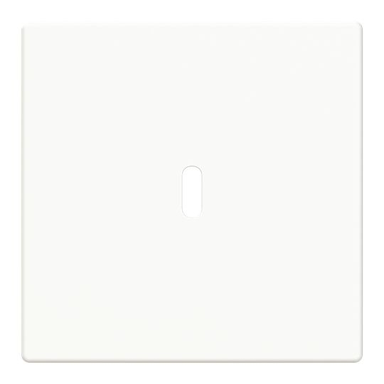 Busch-Jaeger 6479-84 Zentralscheibe für USB Ladestation 1-fach mit USB-C-Anschluss, Plattform 63, studioweiß glänzend