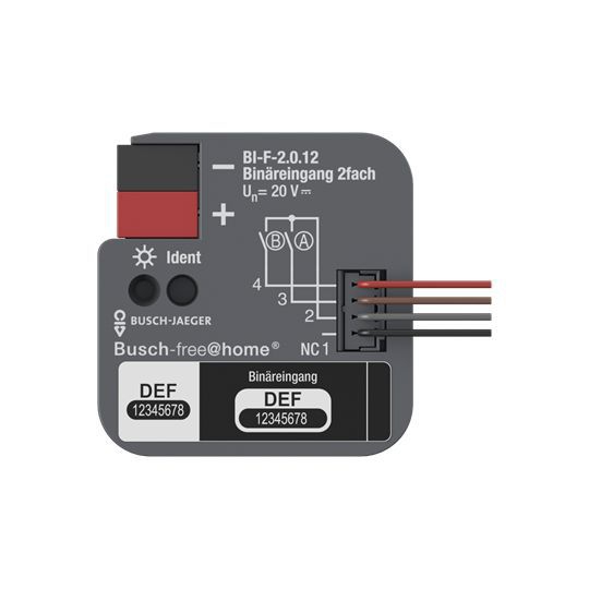 Busch-Jaeger BI-F-2.0.12 Binäreingang, 2-fach, Unterputz mit Kontaktabfragespannung, grau, Busch-free@home®