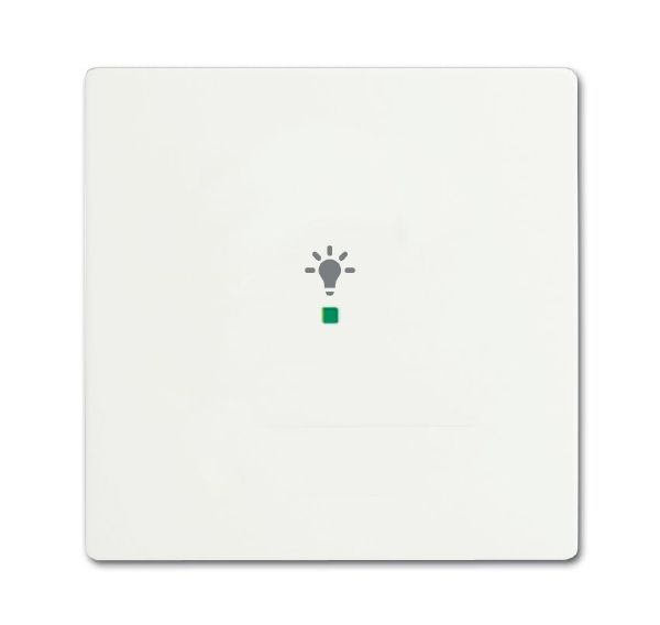 Busch-Jaeger 6231-10-884 Wippe 1-fach mit Symbol Licht