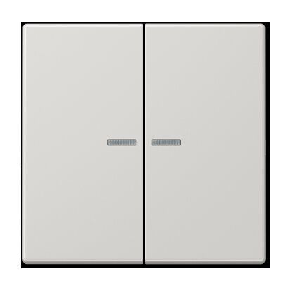 Jung LS995KO5LG Wippe mit Lichtleiter, Duroplast, Serie LS, lichtgrau