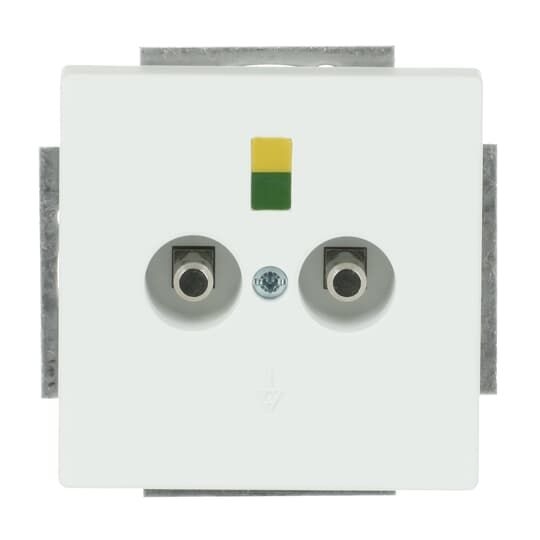 Busch-Jaeger 2095 UC-884 Potenzialausgleich-Steckdosen-Einsatz 2-fach, Unterputz, studioweiß matt, Plattform 63