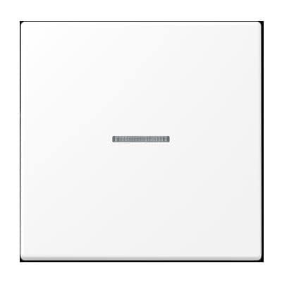 Jung LS990KO5WWM Wippe mit Lichtleiter, Duroplast lackiert, Serie LS, schneeweiß matt