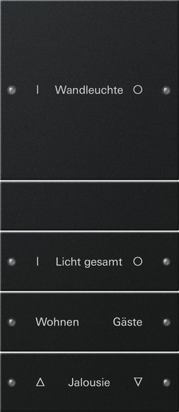 Gira 2204005 Wippenset 4-fach (1+3) beschreibbar System 55 Schwarz matt lackiert