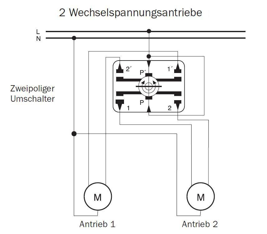Merten 318901 Rollladentaster-Einsatz für Schließzylinder, 2-polig